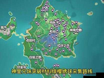 揭秘原神世界：绯樱绣球最佳采集攻略——详尽路线推荐与探索
