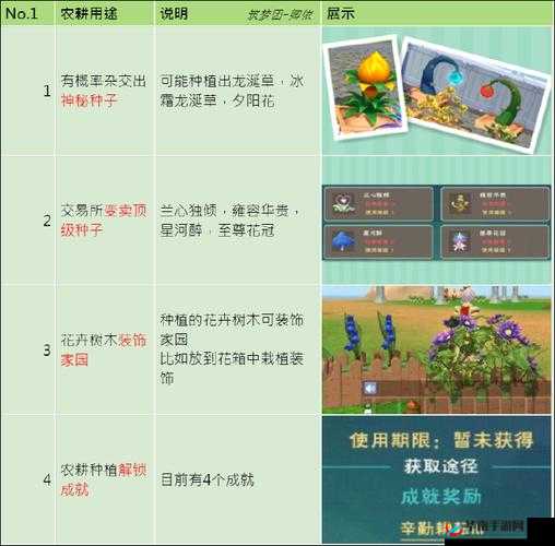 探索创造与魔法独特玩法思路新视角