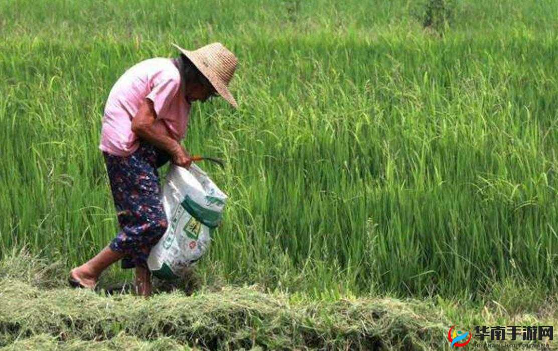 儿子耕种母亲田地寓意：子承母业耕新篇