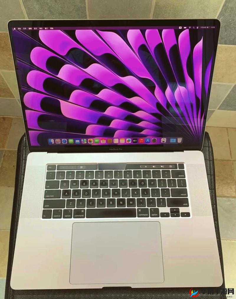 16 岁日本学生 MacBook Pro 评测网传比安卓画质高及老用户情况