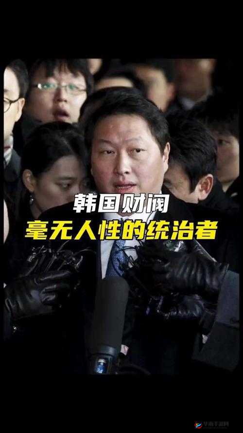 韩国财阀：权力与腐败的交织