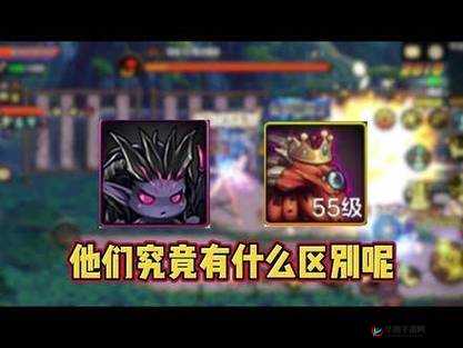 精灵侵袭宠物秘境挑战不断，超实用通关策略大揭秘