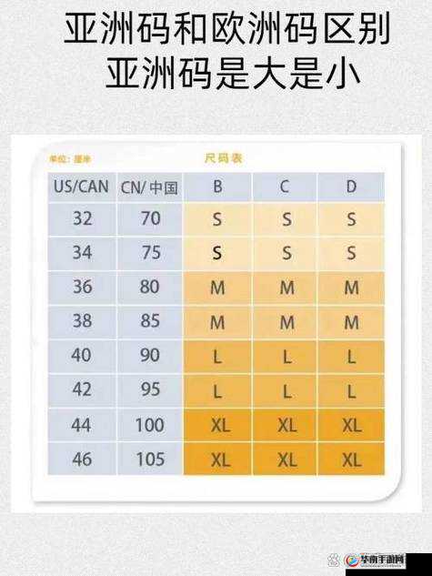 亚洲码和欧洲码 168 区：尺码解析与对比