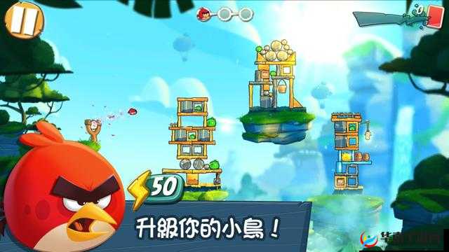 愤怒的小鸟游戏简介及特色 带你领略独特的游戏魅力