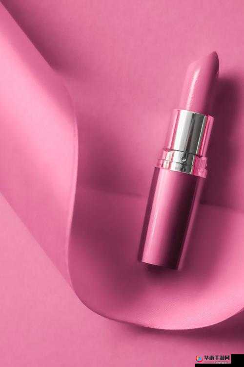 YSL 蜜桃色 WWW 魅力无限