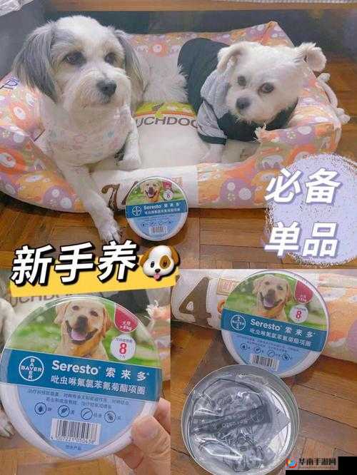 人狗胶配方大全：狗狗一相关内容全解析