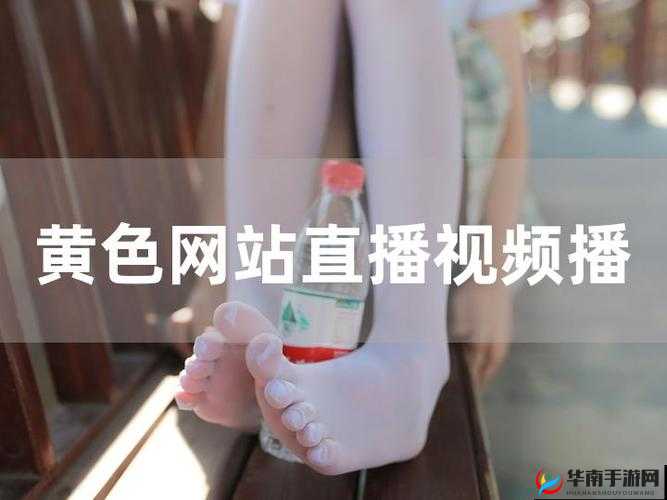 黄金网站 APP 视频播放画质选择：影响因素及技巧