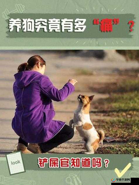 CSSDN 人狗大战最新活动精彩呈现