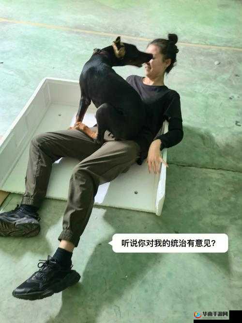 玩人狗大战的实现方法：技巧与策略