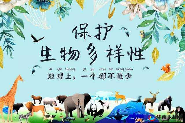 人与马畜禽corporation：人与动物的和谐共生之道