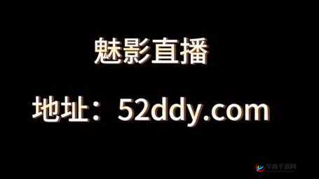 魅影 5.3 直播：精彩内容抢先看