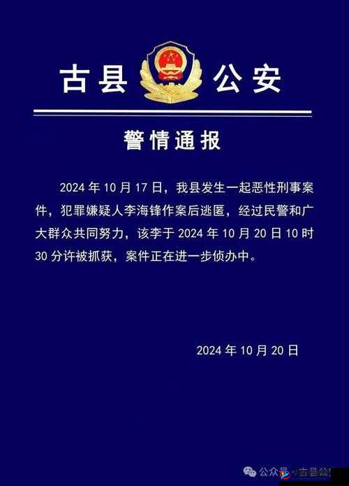 69XXX鈪Xx鍠锋疆：独特魅力彰显