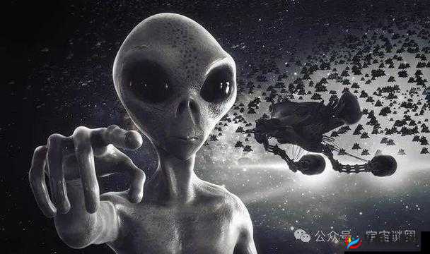 四叶草私人研究所：关于人类意识和宇宙本质的研究成果