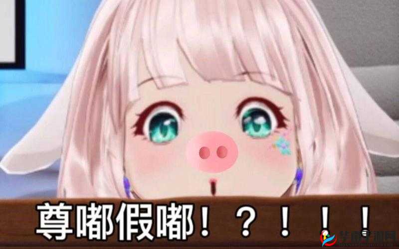 尊嘟假嘟：啥意思？真嘟假嘟：网络用语揭秘