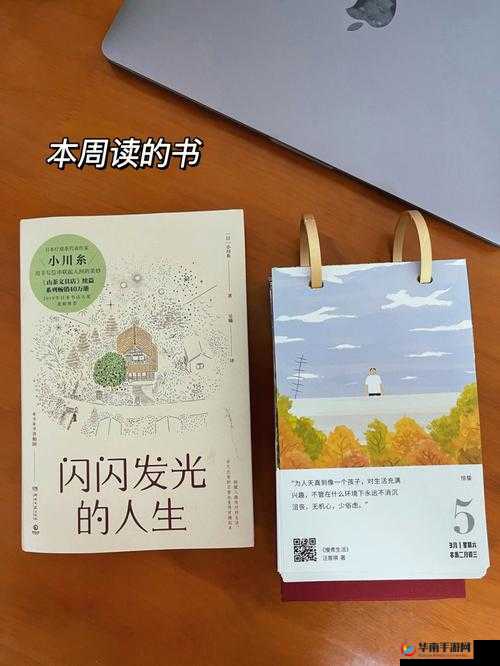 色老哥的一天：在平凡生活中寻找乐趣