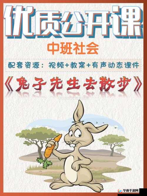 兔子先生传媒文化作品之精彩呈现