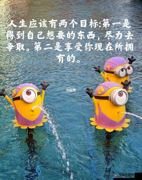 及时行乐 HPO：享受当下，释放压力