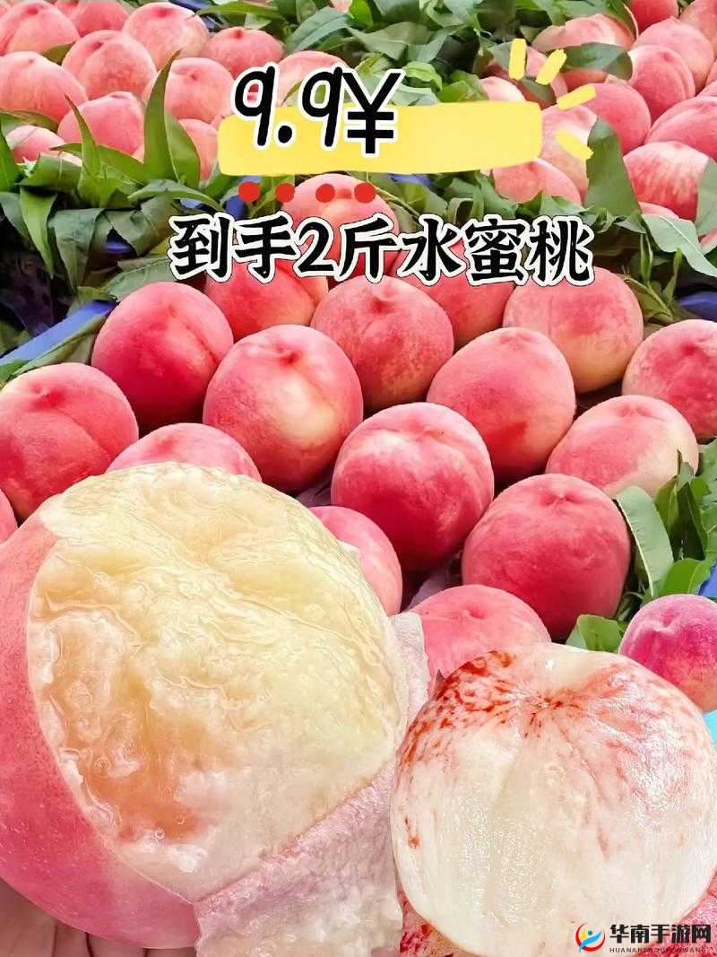 水蜜桃一三四专区：专属你的甜蜜世界