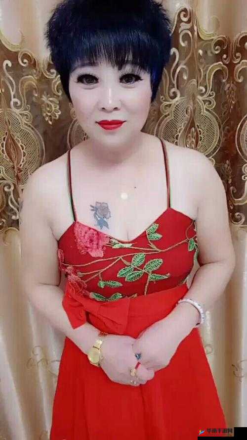 霸气 48 岁沈阳阿姨：叫的没谁了吗