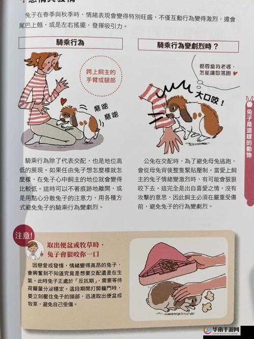 男朋友喜欢吃我小兔兔的心理及表现