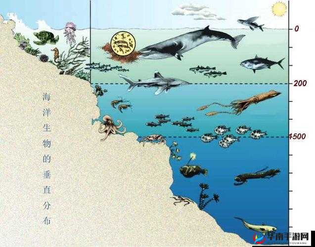 探寻冰原秘境：晨曦草的踪迹与分布全解析