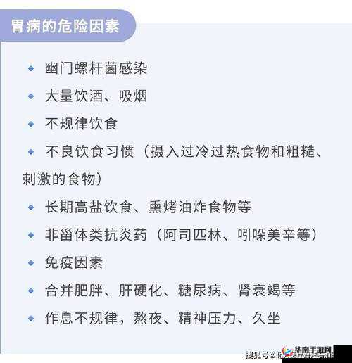 关注健康：解析'我养胃了'背后的深层含义与自我护理之道