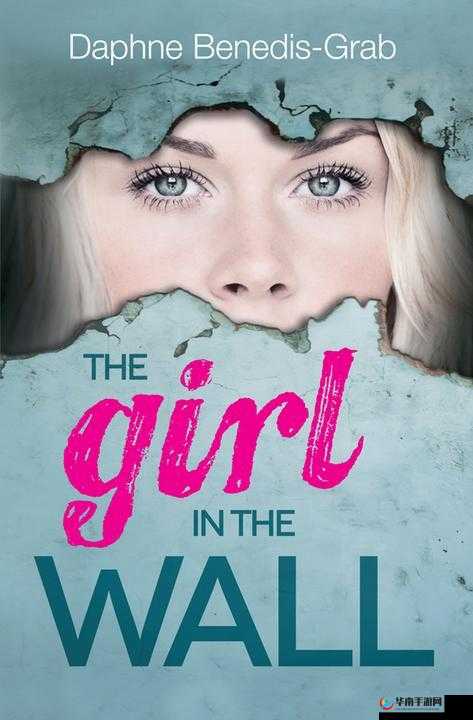 去浏览器搜 Another girl in the wall 相关内容