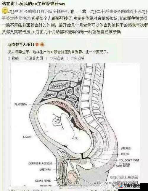 男配体内结节每日成结的奇特遭遇