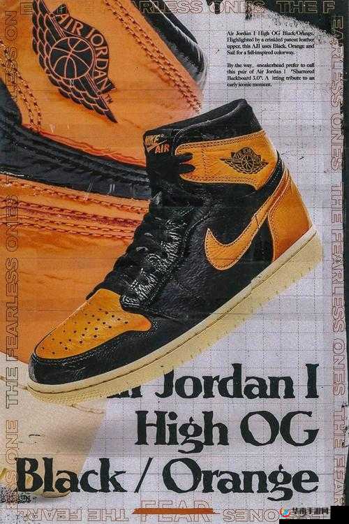AIRJORDAN 重口只有付费才能访问回复：为何如此设定