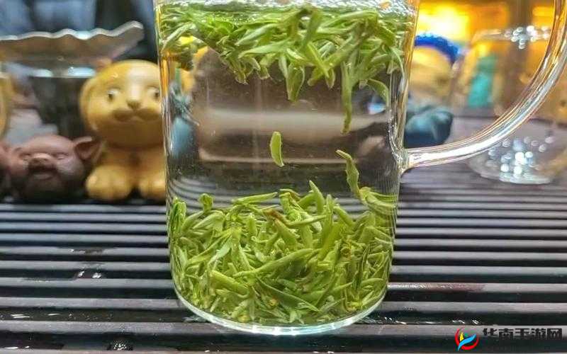 三亚新茶嫩茶 wx- 清新茶香等你来品