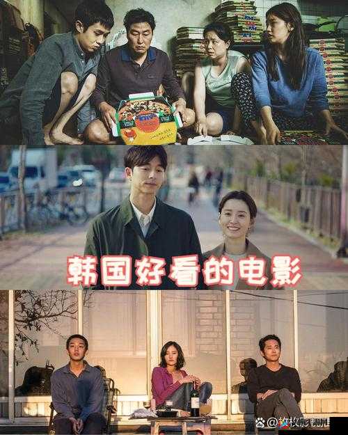 давай美国：一起探索新世界