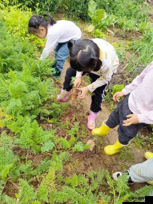 拔萝卜又疼又叫：趣味农事体验
