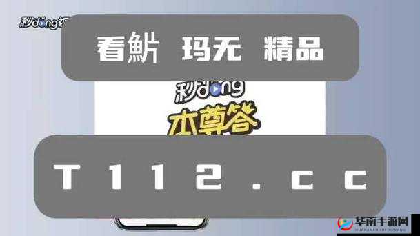 欧美无人区码卡二卡 3 卡 2024：探索未知的神秘世界