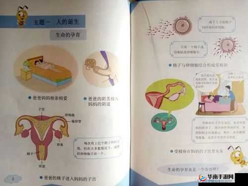 青春期女孩子手淫对生育是否有影响