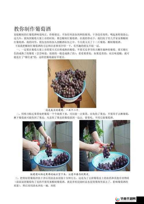 如何制作创造与魔法中的美味葡萄酒步骤全解析