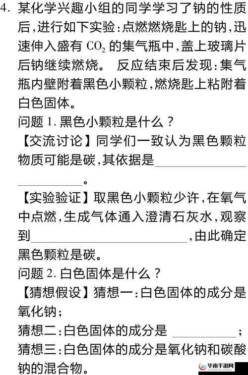 9988 色母做 CMD S 成分表：探究其成分奥秘