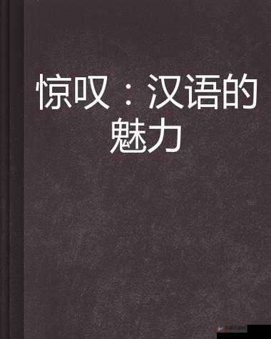 最好看的 2018 中文中国国语：让世界为之惊叹的语言之美