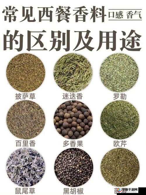成品大香伊煮与小辣椒的烹饪及调味用途