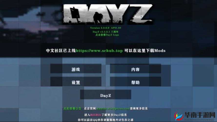 DayZ 盐水袋：正确使用方法，让你在游戏中生存更久