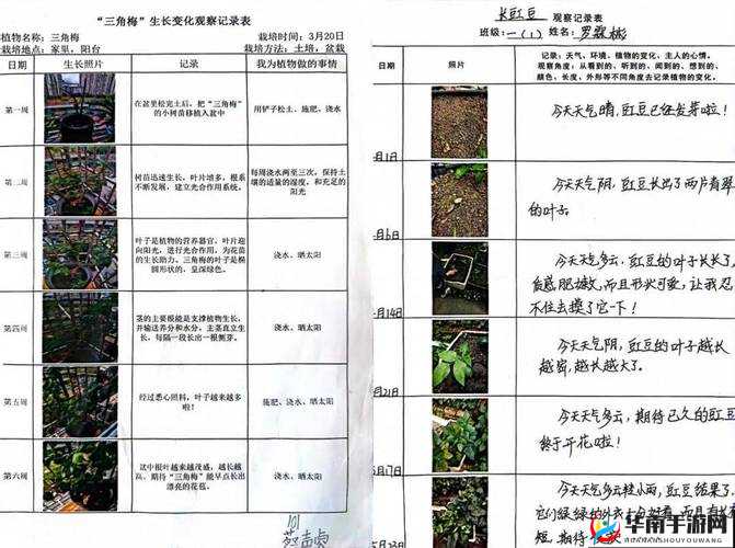 有图有真相 那些年我精心照顾的可爱草泥马的故事