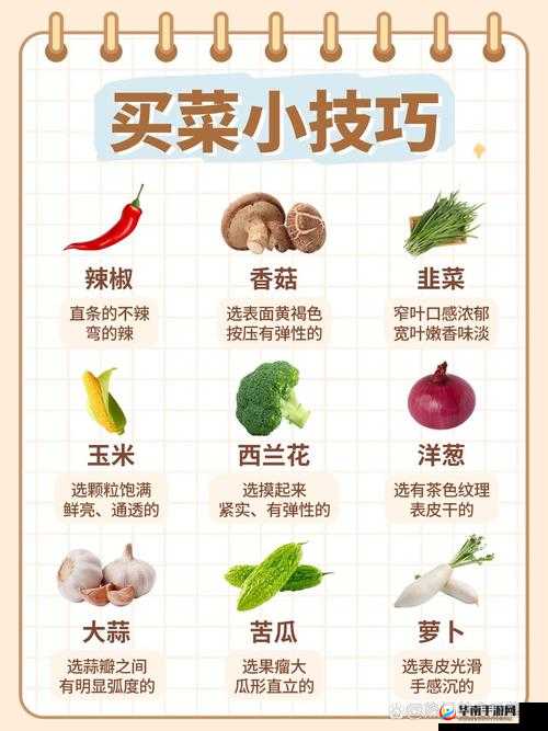 秦时明月手游苍龙帮战玩法心得与技巧全揭秘
