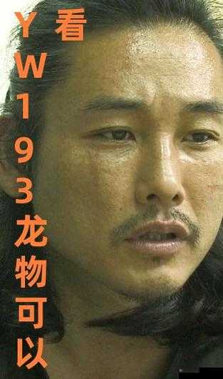 yw193 龙物失联：一场引人深思的事件