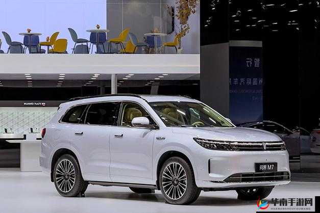 国产 SUV 在欧洲的热门之选：市场表现与魅力解读