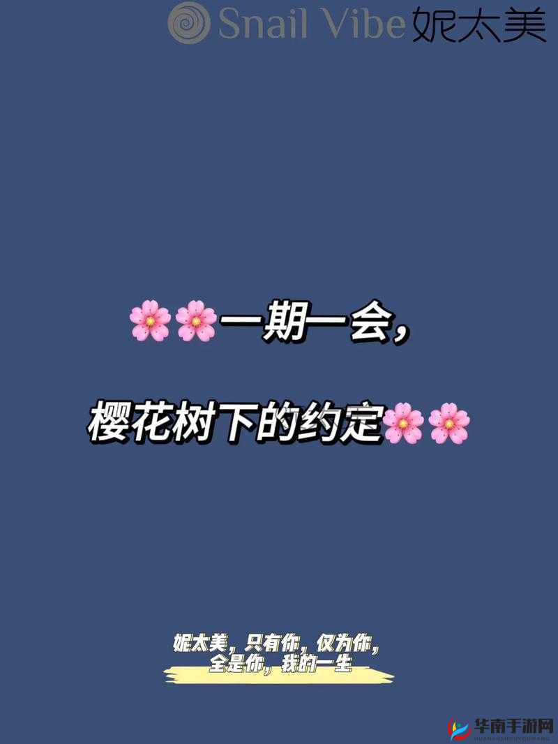 我可以深入了解你的樱花吗：背后的故事