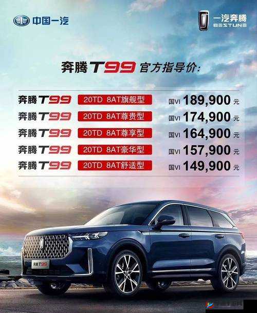 国产 SUV 精二区：卓越性能与舒适体验