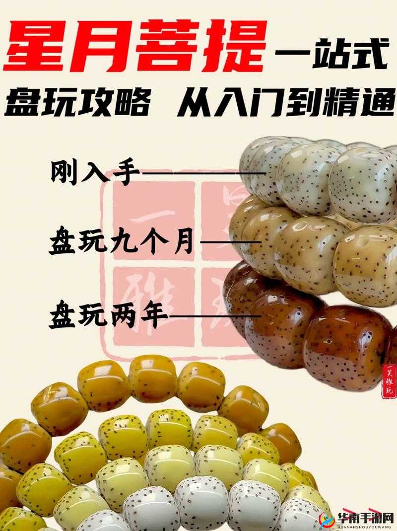 武侠 OL 新手必看：快速赚钱秘籍全攻略