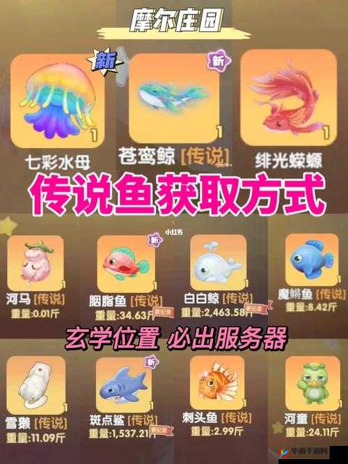 摩尔庄园文鱼：滋养与活力的源泉