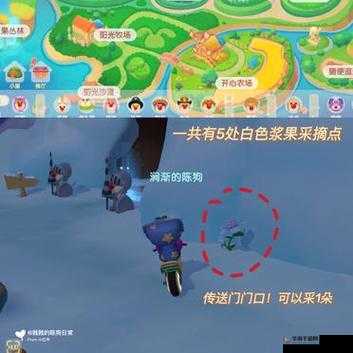 摩尔庄园白色浆果在哪里获得：详细指南