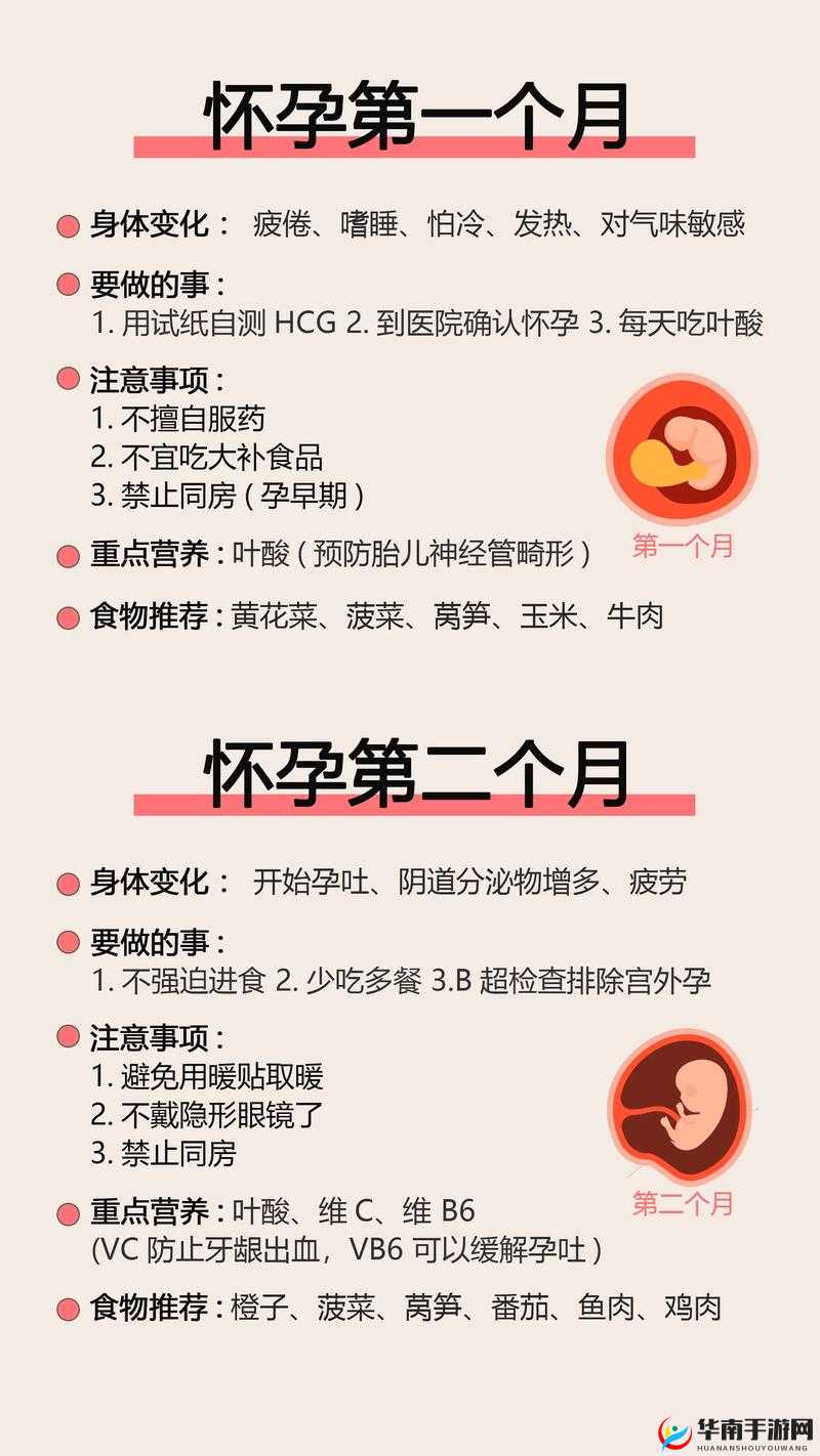 如何让母亲怀孕：注意事项与风险