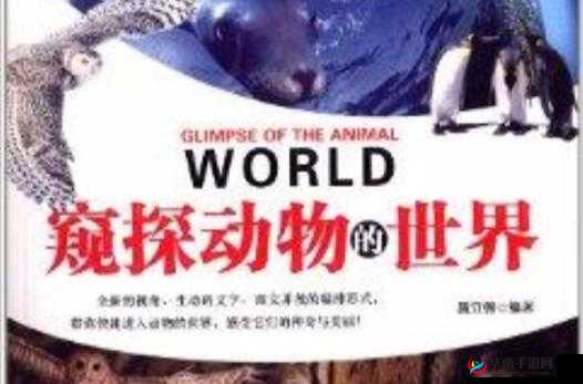 最新美国 ZOOM 动物：窥探动物世界的奇妙之旅